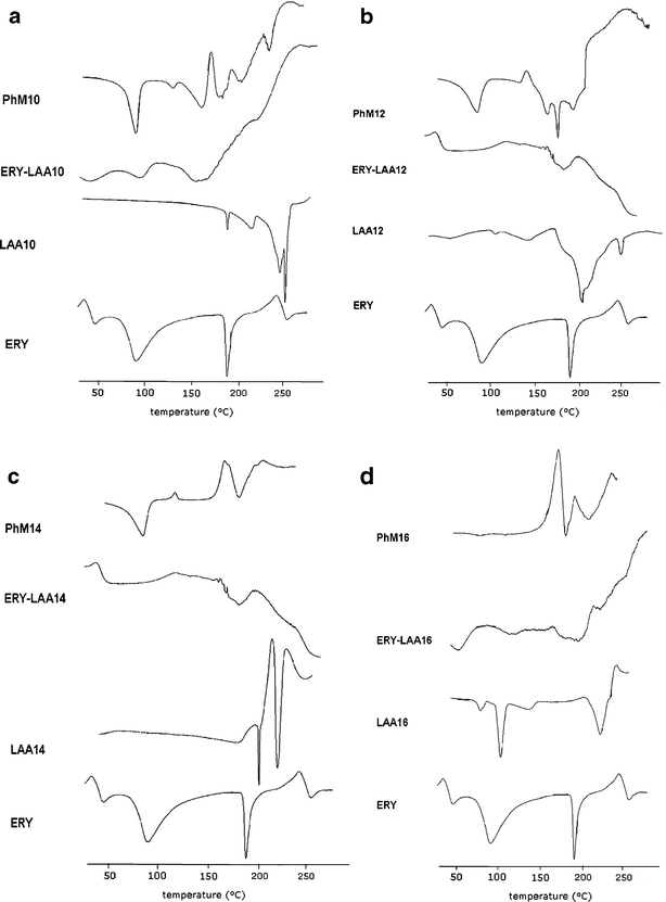 Amphiphilic Erythromycin Lipoamino Acid Ion Pairs