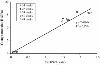 Alteration Of A Cement Matrix Subjected To Biolixiviation Test - 