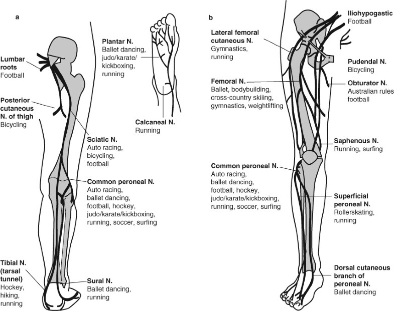 Peripheral Nervous System Injuries in Sport and Recreation SpringerLink