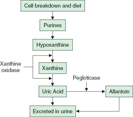 Pegloticase | SpringerLink