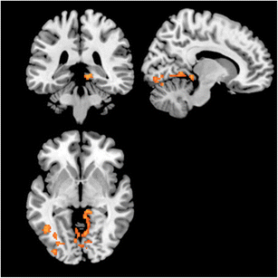 Download slots inferno casino