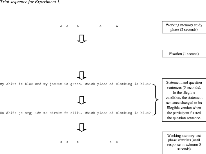 The Function Of Regressions In Reading Backward Eye