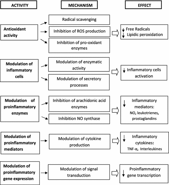 Flavonoids as antiinflammatory agents implications in cancer and