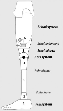 Amputation Und Prothesenversorgung Der Unteren Extremität | SpringerLink