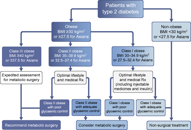 Metabolic surgery for the treatment of type 2 diabetes in obese ...