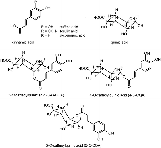 Chlorogenic acids, caffeine content and antioxidant properties of green