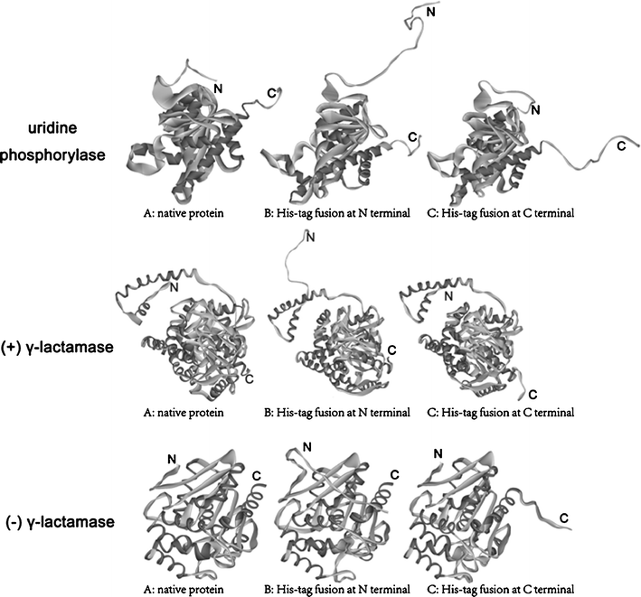 A simple and effective strategy for solving the problem of inclusion