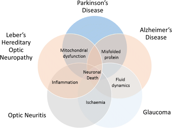 Eyeing the brain | SpringerLink