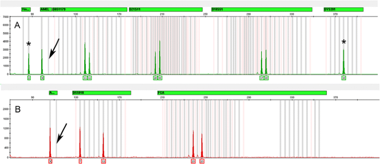 Developmental validation of GlobalFiler™ PCR amplification kit: a 6-dye ...