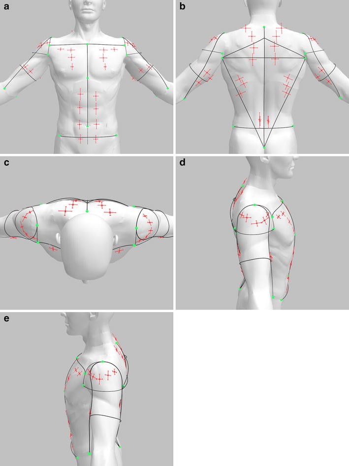 Motor point map of upper body muscles | SpringerLink