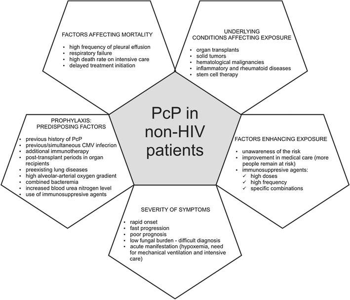 Pneumocystis jirovecii—from a commensal to pathogen: clinical and ...