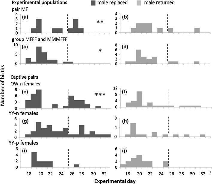 The Bruce effect revisited is pregnancy termination in female rodents