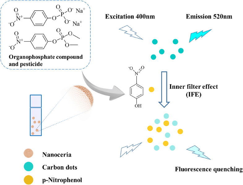 Fluorometric determination of pesticides and organophosphates using
