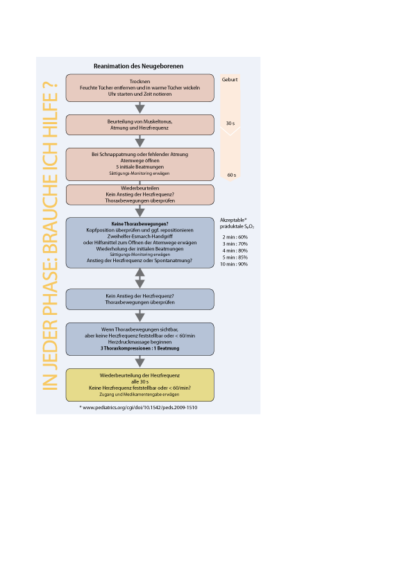 Versorgung und Reanimation des Neugeborenen | SpringerLink