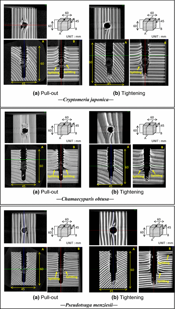 Relationship between clamp force and pullout strength in lag screw