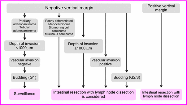 Japanese Society for Cancer of the Colon and Rectum (JSCCR) guidelines ...