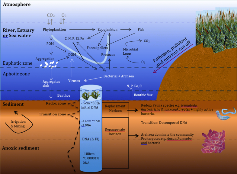 Can the legacy of industrial pollution influence antimicrobial ...