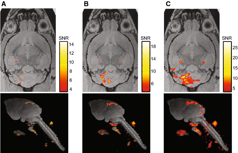 Fluorine19 MRI at 21.1 T enhanced spinlattice relaxation of perfluoro15crown5ether and