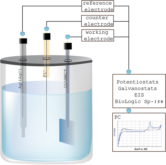 Electrochemical deposition of silver nanoparticle and polymerization of