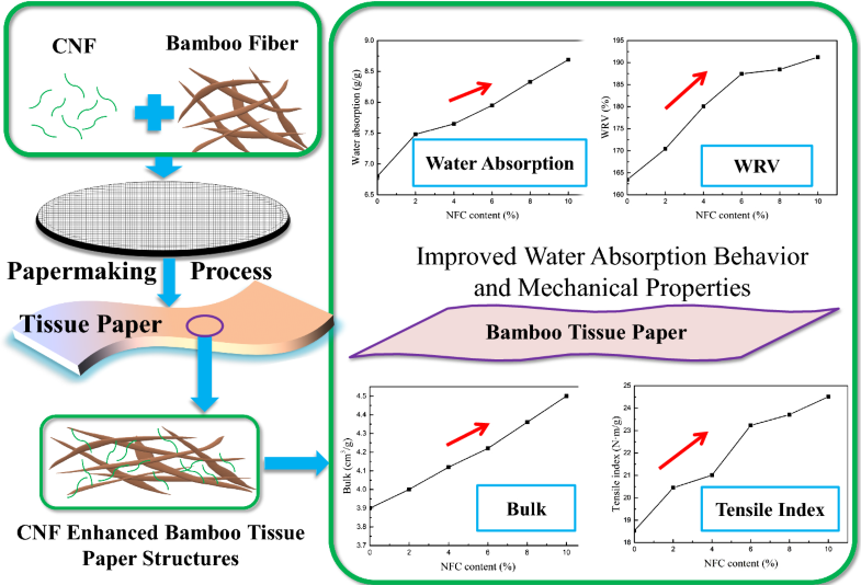 What is cellulose used for image