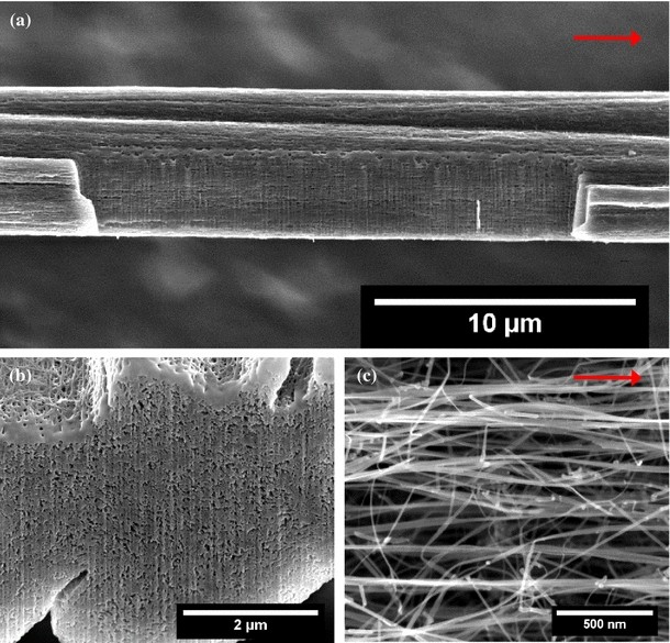 Aligned carbon nanotubeepoxy composites the effect of nanotube