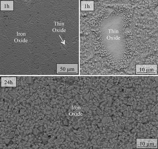 Oxidation After Breakdown of the ChromiumRich Scale on Stainless