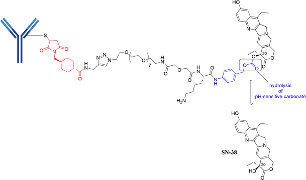 Ivermectin manufacturers in south africa