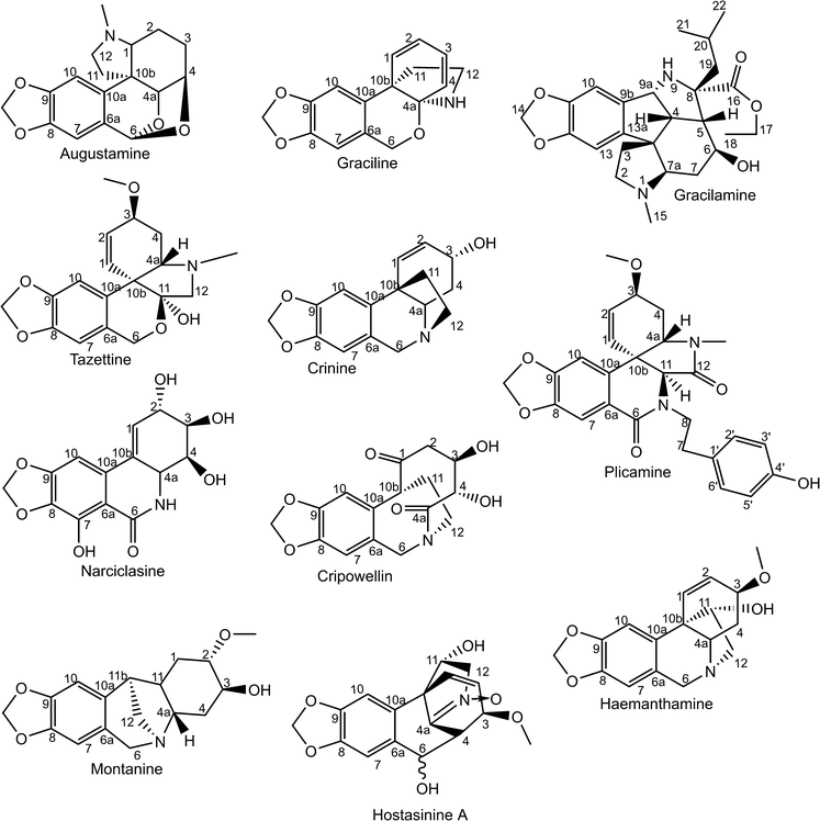 Ivermectin brand name in pakistan Ivermectin brand name in pakistan