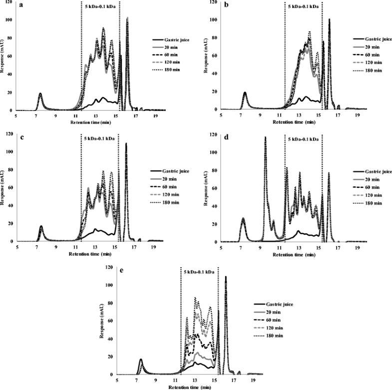 The Effect of Gel Microstructure on Simulated Gastric Digestion of