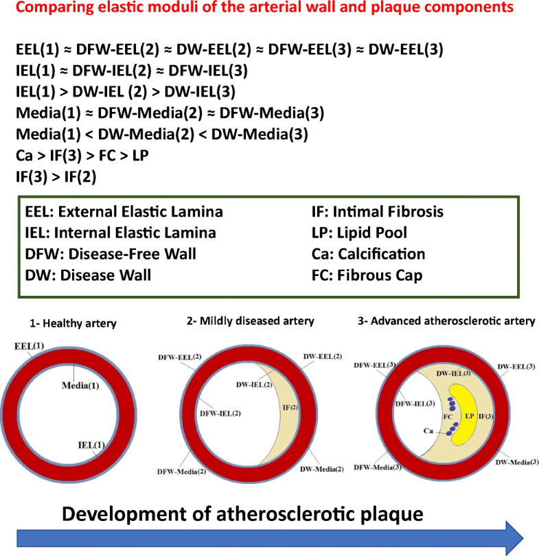 Progressive changes of elastic moduli of arterial wall and