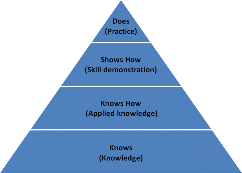 Assessing Clinical Reasoning Targeting the Higher Levels of the
