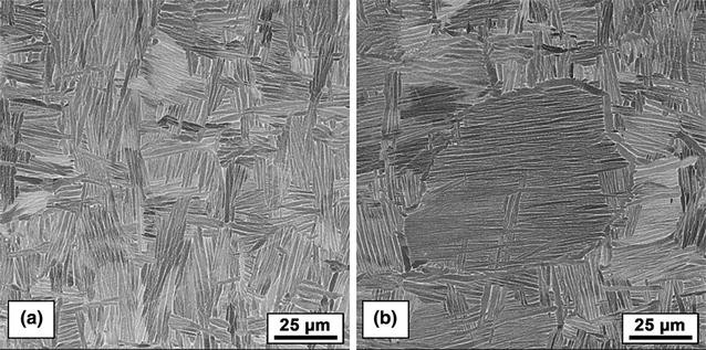 Early Stages of Microstructure and Texture Evolution during Beta ...