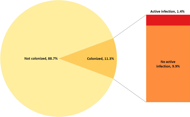 The Importance of Colonization with Clostridium difficile on Infection ...