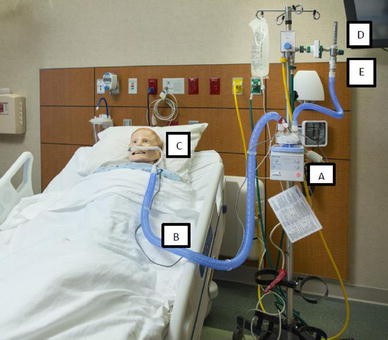 Oxygen Therapy with High-Flow Nasal Cannula as an ...