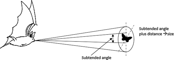 A new bats echolocation-based algorithm for single objective