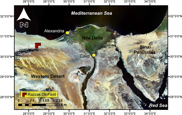 Seismic interpretation of the Aptian Alamein Dolomite in the Razzak oil ...