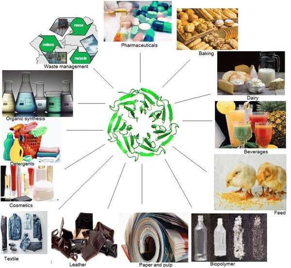 Microbial enzymes industrial progress in 21st century