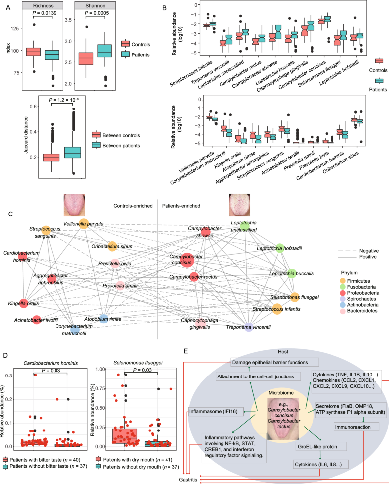 Tongue coating microbiome as a potential biomarker for gastritis