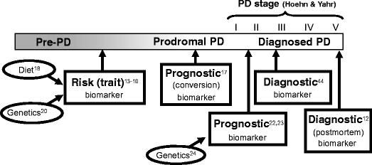 Urate as a Marker of Risk and Progression of ...