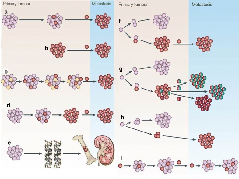 Metastatic and triplenegative breast cancer challenges