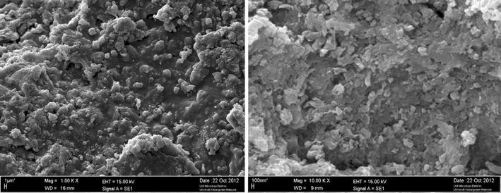 Magnetic properties of cobalt ferrite synthesized by hydrothermal ...