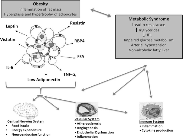 Endocrine Aspects of Childhood Obesity | SpringerLink