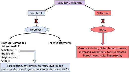 Entresto (Sacubitril/Valsartan) Angiotensin Receptor
