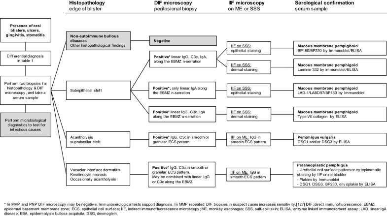 Oral Lesions in Autoimmune Bullous Diseases: An Overview of Clinical ...