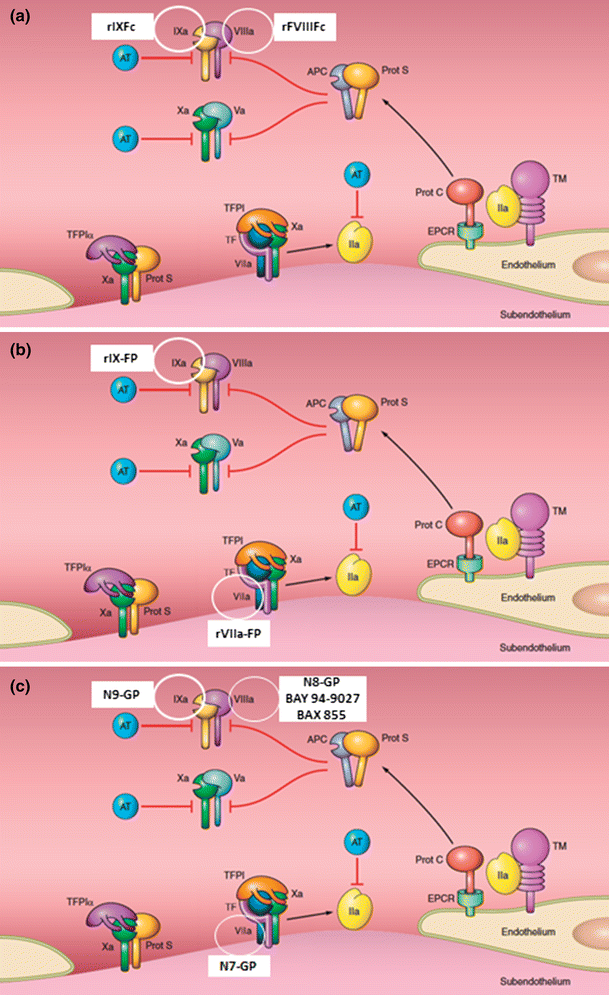 New and Emerging Agents for the Treatment of Hemophilia Focus on Extended HalfLife