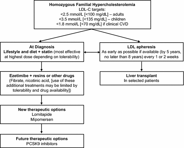 Challenges In The Diagnosis And Treatment Of Homozygous Familial Hypercholesterolemia Springerlink 1191