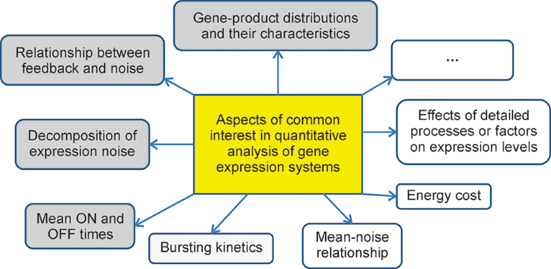 Quantitative analysis of gene expression systems ...
