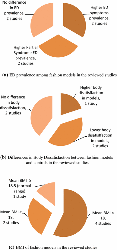 Literature review eating disorders