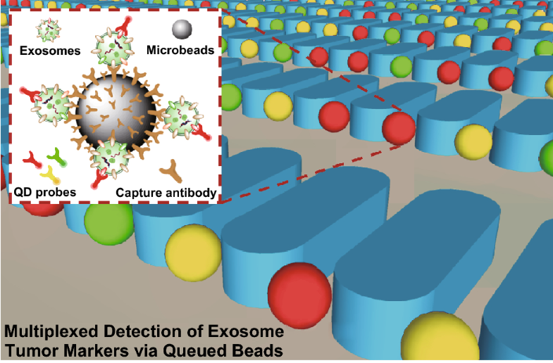 Rapid Isolation and Multiplexed Detection of Exosome Tumor Markers Via Queued Beads Combined