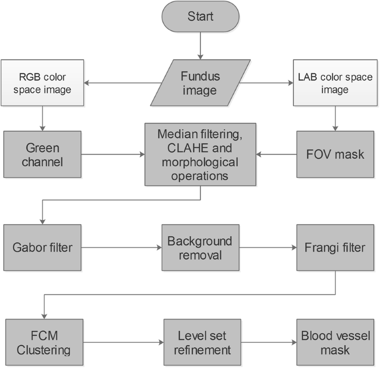 Retinal Blood Vessel Segmentation by Using Matched Filtering and Fuzzy
